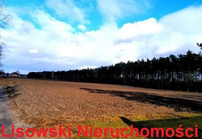 Działka 1400m2, anielin swędowski