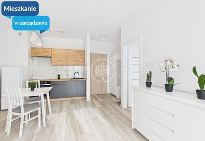 Dwupokojowe mieszkanie do wynajęcia