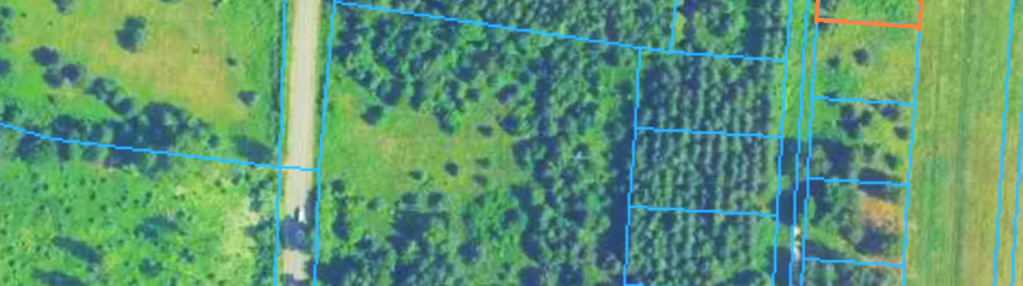 25 km od Kielc, uzbrojona, w otoczeniu lasów