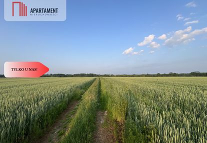 Piękne działki budowlane pod bolesławcem! kruszyn