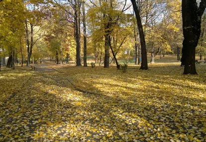 Działka na sprzedaż 4213m2