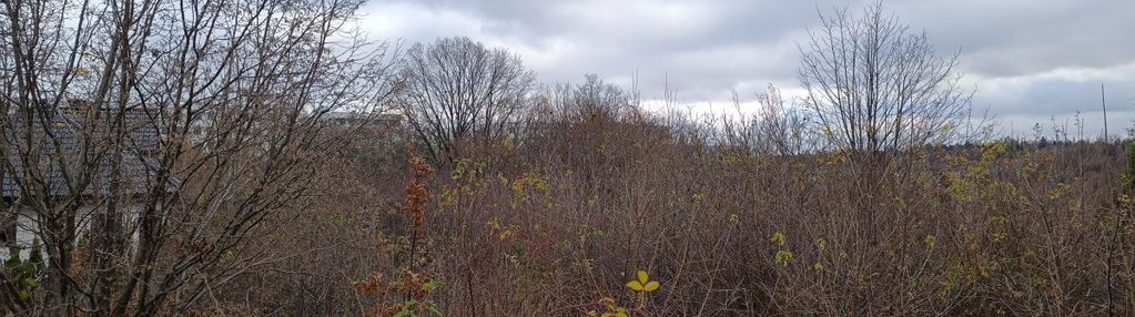 Super działka w otoczeniu domów jednorodzinnych