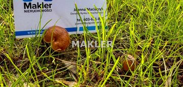 Działka osowa góra