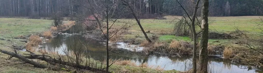 Działka na sprzedaż 5600m2