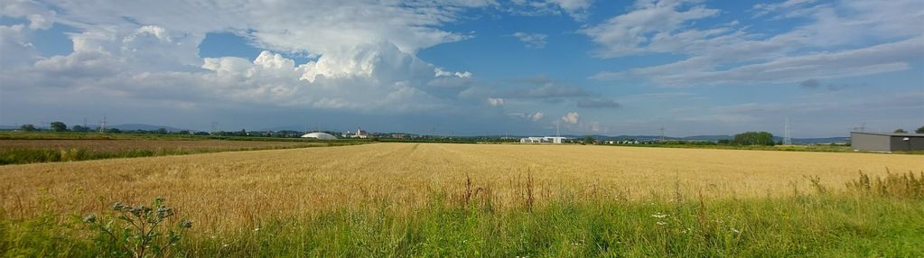 Na sprzedaż uzbrojone działki w pieszycach