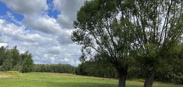 Działka siedliskowa