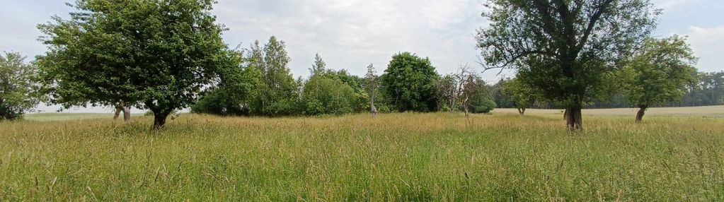 Z warunkami zabudowy blisko jeziora, cicha okolica