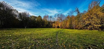Działka 1,13 ha - 33 zł/m2