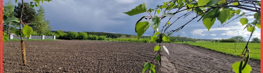 Działka z widokiem na jezioro!