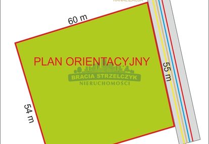 Cichy  i  zielony  anin