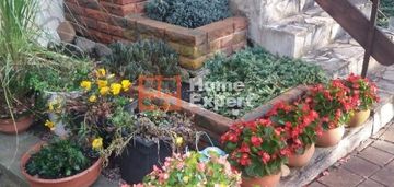 Dom na muchoborze małym