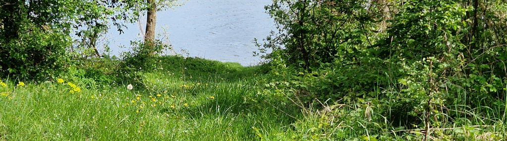 Działki z linią brzegową jeziora