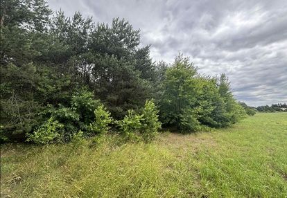 Działka siedliskowa 4000m2, kiełmina