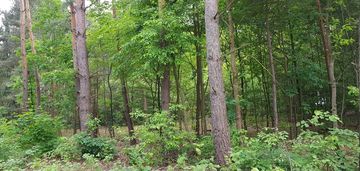 ⭐⭐⭐⭐⭐ działka w okolicy hotelu afrodyta ⭐⭐⭐⭐⭐