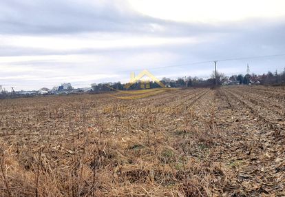 Działka w chrzanowie dużym 3500m2