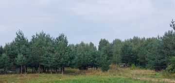 Sprzedam działkę 28/12 we wsi Koplany