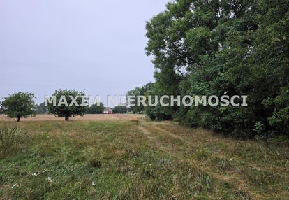 Piękne siedlisko w radzymin k/płońska /pow. 3 ha