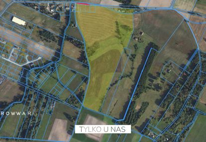10ha działka(możliwość zakupu 20ha)-nekla