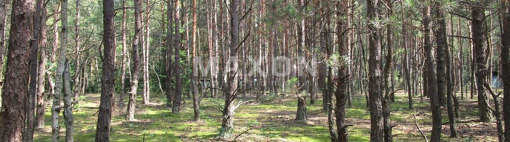 Działka jako lokata kapitału- wola polska