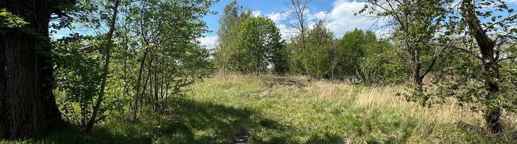 Działka budowlana z potencjałem – jejkowice
