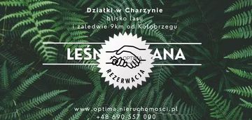 Działka z widokiem na las, obok vilpark