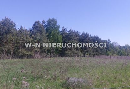 Działka grodowiec