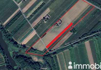 Nieruchomość gruntowa z zabudową siedliskową