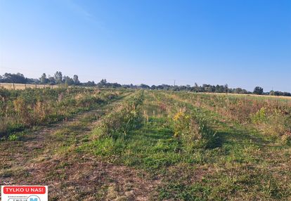 Działka rolno-bud. w terenach upraw sadowniczych!
