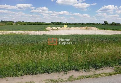 Szewce działka 6 600 m2 /inwestycja