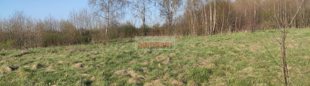 Polecamy działki położone w baciutach