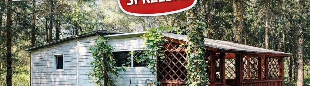 Domek letniskowy w lesie nad pilicą. wieś biała.