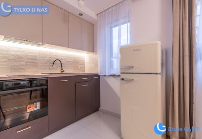 Dobrze wyposażone nowe ice kraków *stare dębniki*