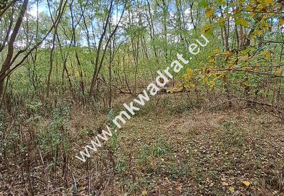 ⭐⭐⭐⭐⭐ super - budowlana 1000m2 pod kampinosem