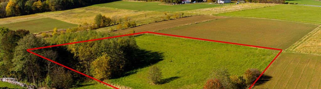 Działka rolna 72ary turza - gm. rzepiennik strzyżewski!