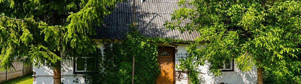 Siedlisko w potoku 3,78 ha z domkiem wokół lasów