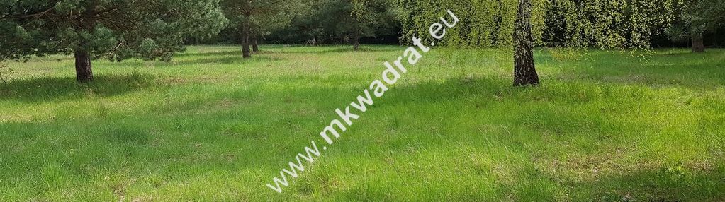 Działka 1236m2 w sąsiedztwie lasu ojrzanów
