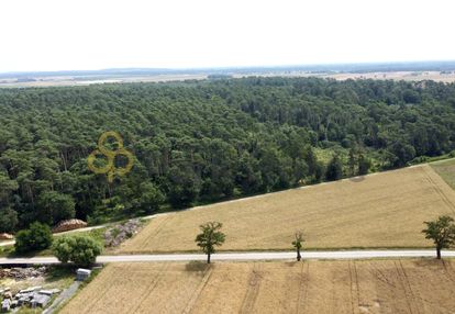 Atrakcyjne działki przy lesie | blisko poznania |