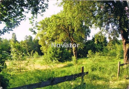 Działka o pow.7017 m2 z dostępem do jeziora.