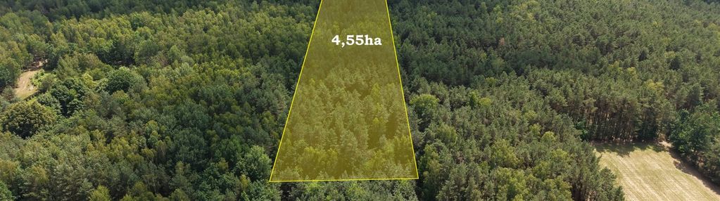 Atrakcyjna działka rolno-leśna 4,55 ha.