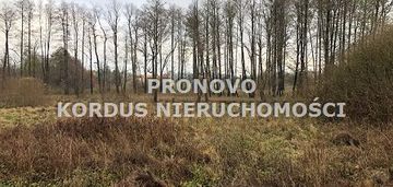 Działka nad jeziorem dominikowo