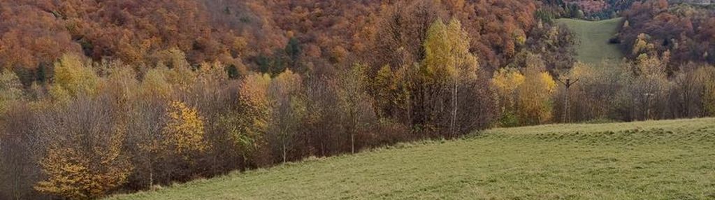 Działka rolno-leśna rytro 1,17ha połom niżna