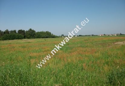 Działka rolna konstantów