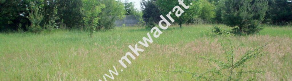 Działka usługowa, mpzp dopuszcza usługi różne