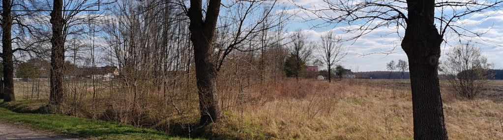 Działka 3700 m² przy lesie | dwustronna