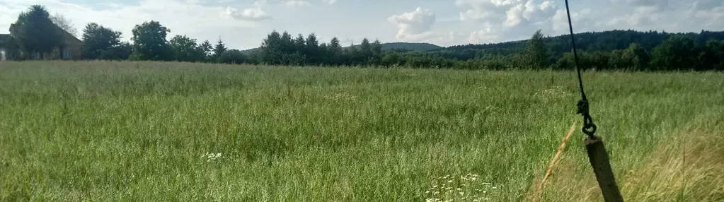 Działka na sprzedaż 1729m2