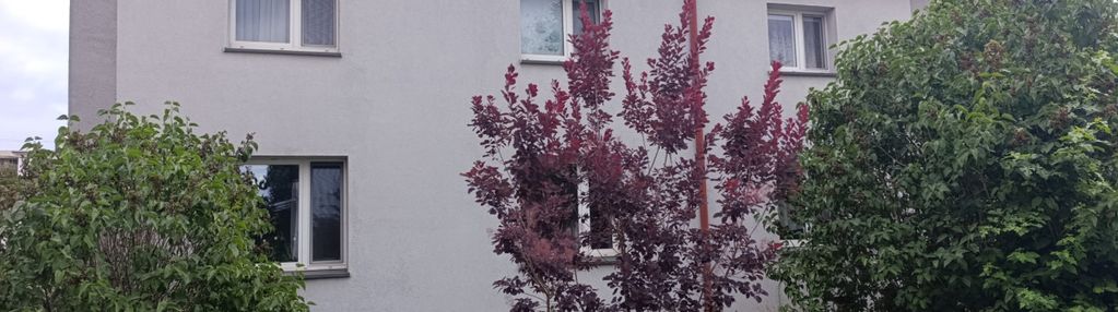 Dla rodziny z dziećmi/do dalszego wynajmu/