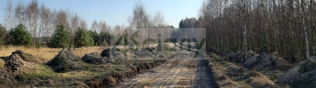 Cicho i spokojnie - działki wycześniak