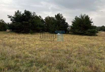 Duża działka w prądkach przy lesie