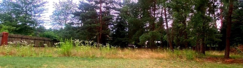 Działka z duszą i starodrzewem – media w drodze