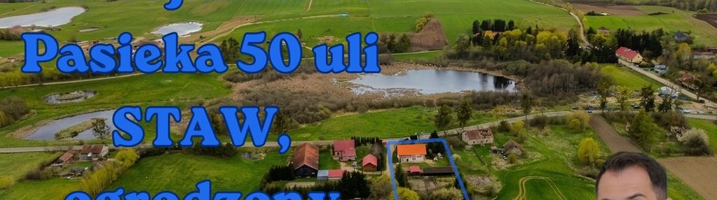 Siedlisko z duszą: staw, las i własna pasieka
